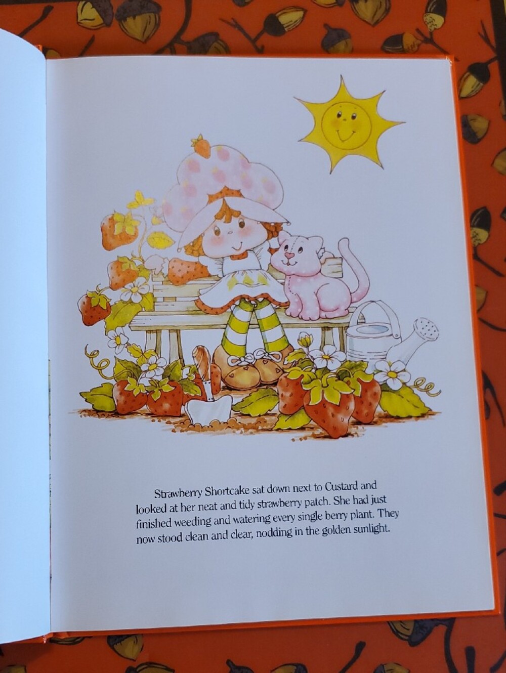 Strawberry Shortcake and the Deep Dark Woods - Orange Kids Story Book - Picture 6 of 8